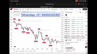 The Greatest Volume Heatmap Indicator on TradingView