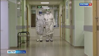 В Белгородской области за сутки COVID 19 заболели 23 человека