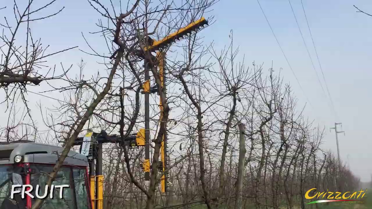 video Обрезчик контурный сегментный FRUIT ORIZZONTI