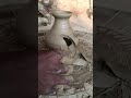 Pottery with clay 🌸 #shorts #viral #video #trending #pottery #clayart #like #love #music #india