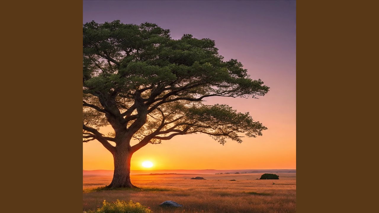 Watch Lonely tree on YouTube Watch Lonely tree on YouTube