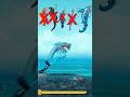 Hungry Shark World Shark Vs Hungry Shark Evolution 