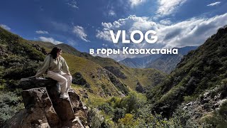 : VLOG:  ,  ,   