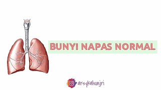BUNYI NAPAS NORMAL || NORMAL BREATH SOUNDS