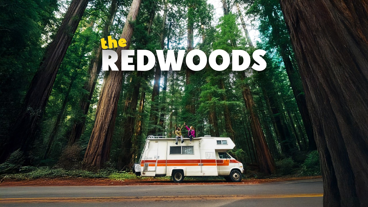 Redwoods National Park Exceeded Our Wildest Dreams! – Video Redwoods National Park Exceeded Our Wildest Dreams! – Video
