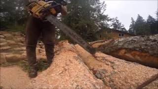 POWER SAW KICK BACK