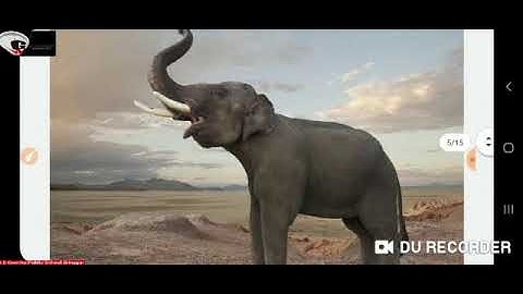 Evs grade Kg dated 15 04 20