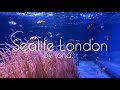 Sealife London - Visualiser