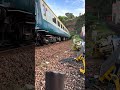 A class 67 passing Dawlish heading up north 21/5/22 #trainspotting #trains #class67