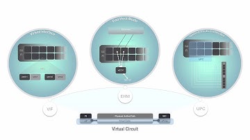 Cisco UCS B-Series Solution Training Set. Part Two: System virtualization