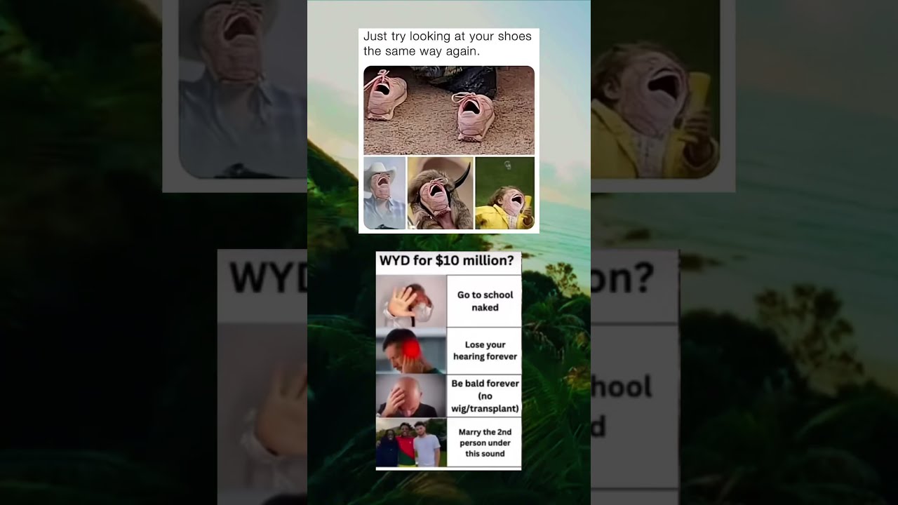  Meme Zyxabc Memefunny 1
