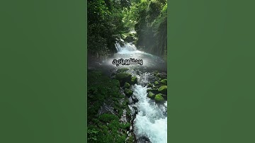 #تلاوة_خاشعة #عبدالباسط_عبدالصمد #القرآن_الكريم #قرآن #السعودية #العراق #سورة_غافر