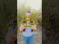 अहो शेजारची ती सटवी नाही का तिने50इंची टीव्ही आणली आपण कधी आणायचं😂🤣#vairal#comedy#funny #maharastra