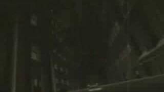 Harley Quinn Insanity