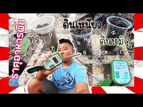 สุดยอด เครื่องวัดธาตุอาหารพืช เทียบกันจะๆ | ปลูกไปเรื่อย