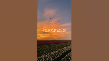 سورة إبراهيم الآية (12) القارئ إسلام صبحي #قرآن