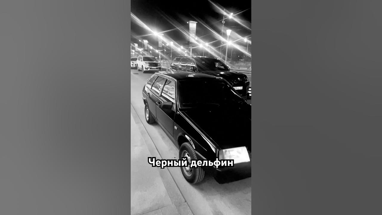 Черный дельфинчик - YouTube