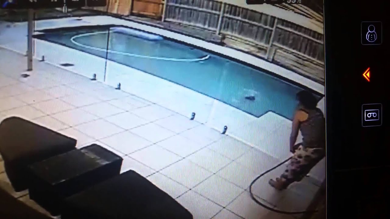 Apeuré, un chat saute dans la piscine - YouTube