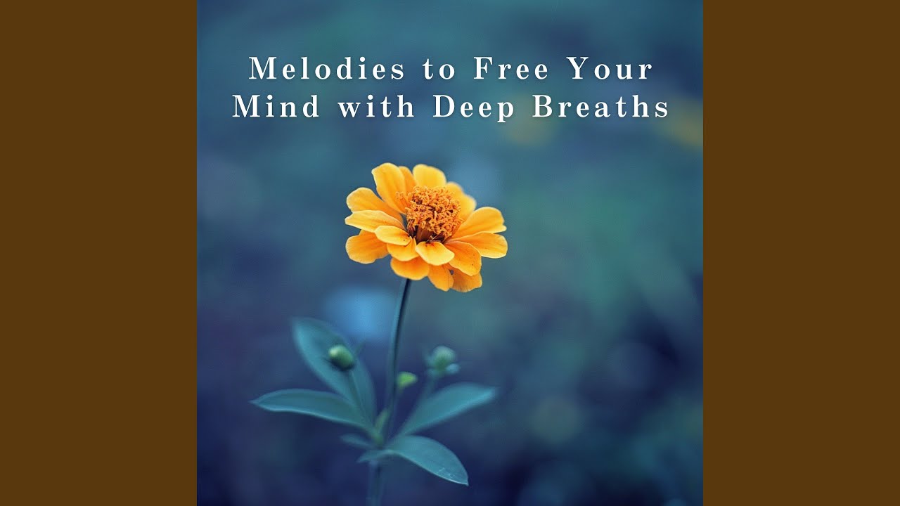 Sleduj Drift into Timeless Harmony na YouTube