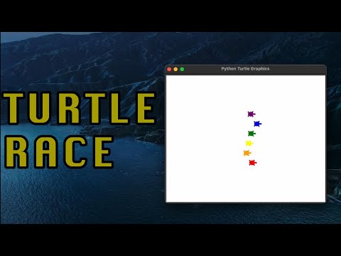 Turtle Race game created in Python | #100daysofcode