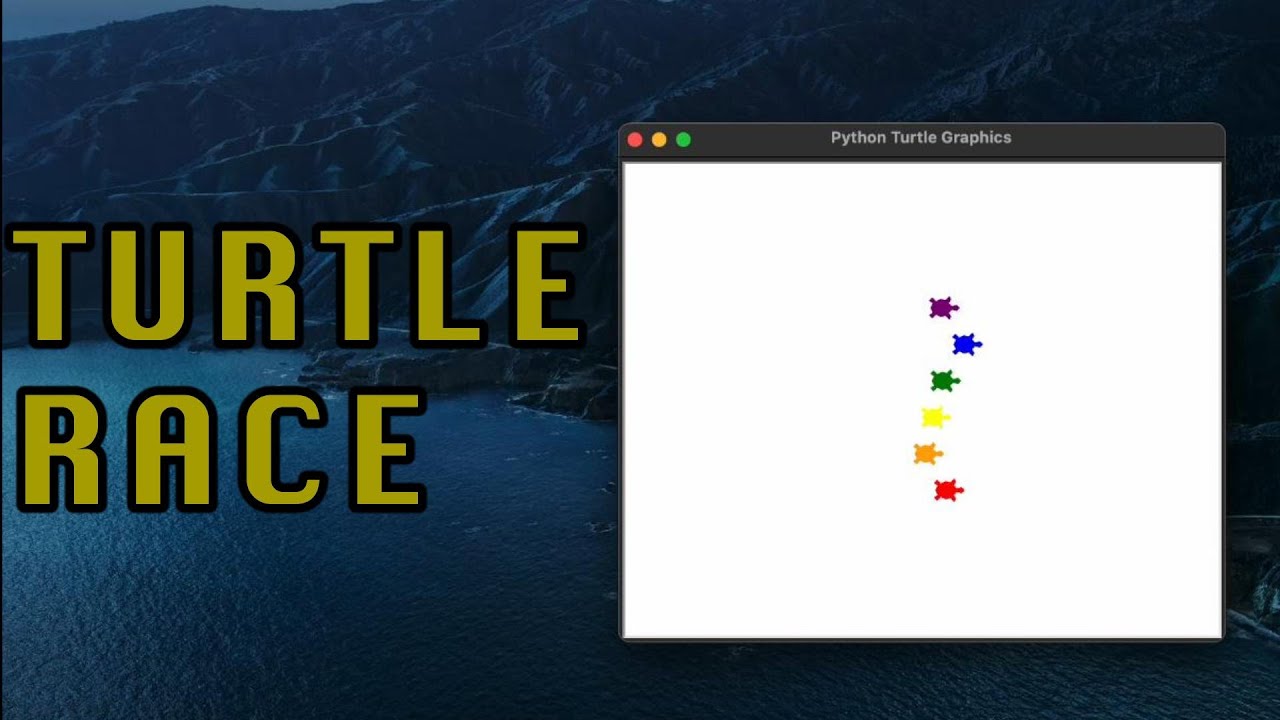 Turtle Race game created in Python | 