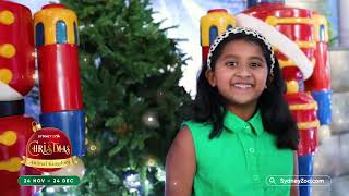 Sydney Zoo Christmas Animal Kingdom