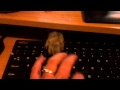 munta the typing kitty longer version