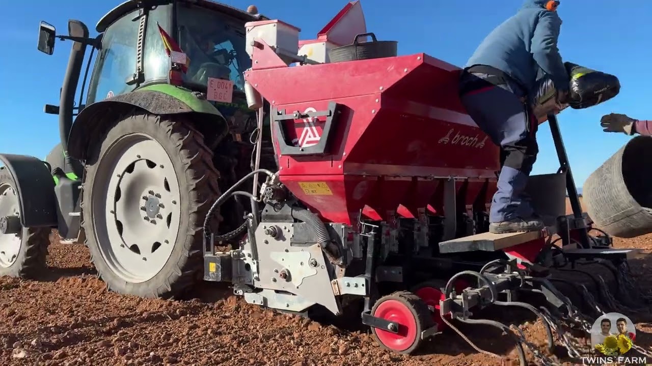 Broch & Casas de Vida. Plantando ajo morado