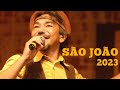 A MELHOR PLAYLIST PARA ANIMAR A SUA NOITE - SÃO JOÃO 2023 #mpb