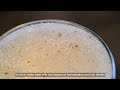 What are the factors that affect starch decomposition in beer brewing?