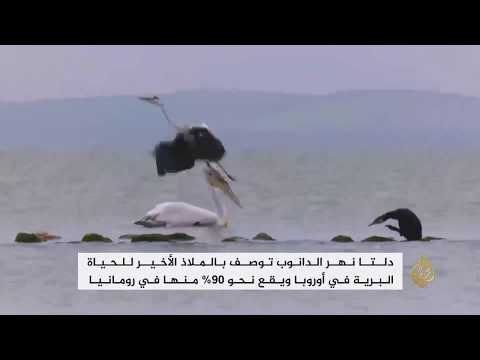دلتا الدانوب الملاذ الأخير للحياة البرية في أوروبا