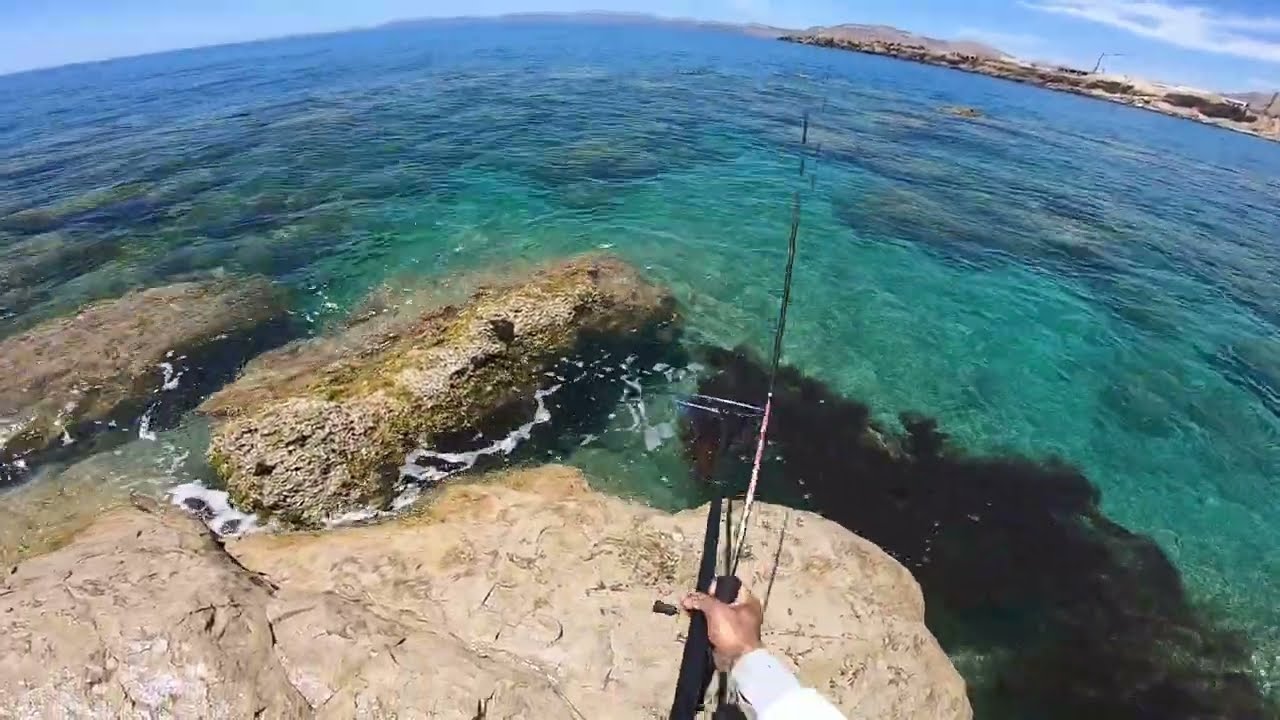ΨΑΡΕΥΟΥΜΕ ΤΟΝ ΚΑΛΥΤΕΡΟ ΜΕΖΕ ΤΟΥ ΚΑΛΟΚΑΙΡΙΟΥ ΜΕ 1 ΚΑΛΑΜΙ ΚΑΙ ΜΕΡΙΚΕΣ ΚΑΛΑΜΑΡΙΕΡΕΣ