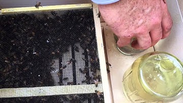 beekeeping 101 part 2 of 4 part series