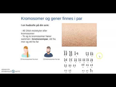 Video: Kopiantalvariationer I Kandidatgenomiske Regioner Bekræfter Genetisk Heterogenitet Og Forældremæssig Bias I Hirschsprung Sygdom