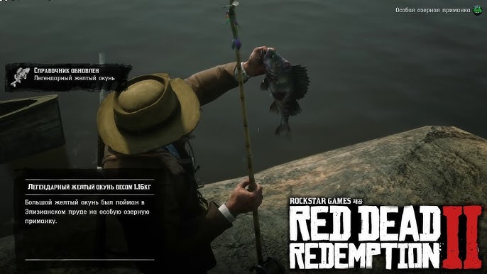 Әйелі күйеуін бірінші рет жұлқылайды