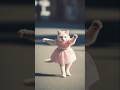 Cat Dance DreamScreenAI Cute Cat Funny Cutecat Vindyj Funny Shorts Trending Dv2025 Baby Cat Dance DreamScreenAI Cute Cat Funny Cutecat Vindyj Funny Shorts Trending Dv2025 Baby