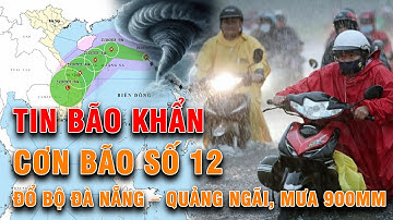🔴TRỰC TIẾP: BÃO SỐ 12 SẼ ĐỔ BỘ ĐÀ NẴNG – QUẢNG NGÃI, CÓ NƠI MƯA 900MM