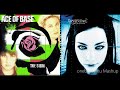 Sign Of Life - Ace Of Base vs. Evanescence &amp; Paul McCoy (Mashup)