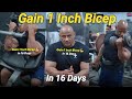 Gain 1 inch bicep in 16 days  improve your testosterone levels  mukesh gahlot youtube.s