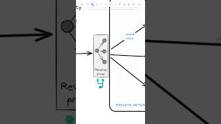 How a Reverse Proxy Simplifies Your Entire Architecture