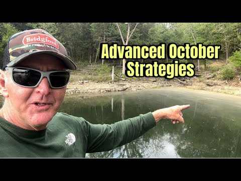 Advanced October Bass Fishing Techniques And Strategies