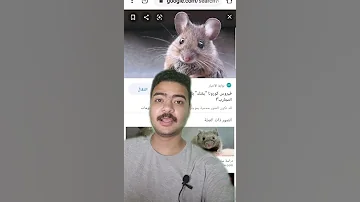 ازاي تخرج فار لو دخل بيتك طريقه سهله جدا 