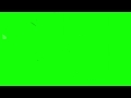 Old Film Overlay - 4K Green screen FREE high quality effects