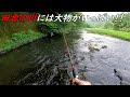 田舎の川にミミズを流すと大物がいっぱい喰い付いてきます!!