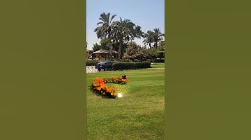 Flower with Fire driven #b3d #aftereffects #blender3d #blender #vfx