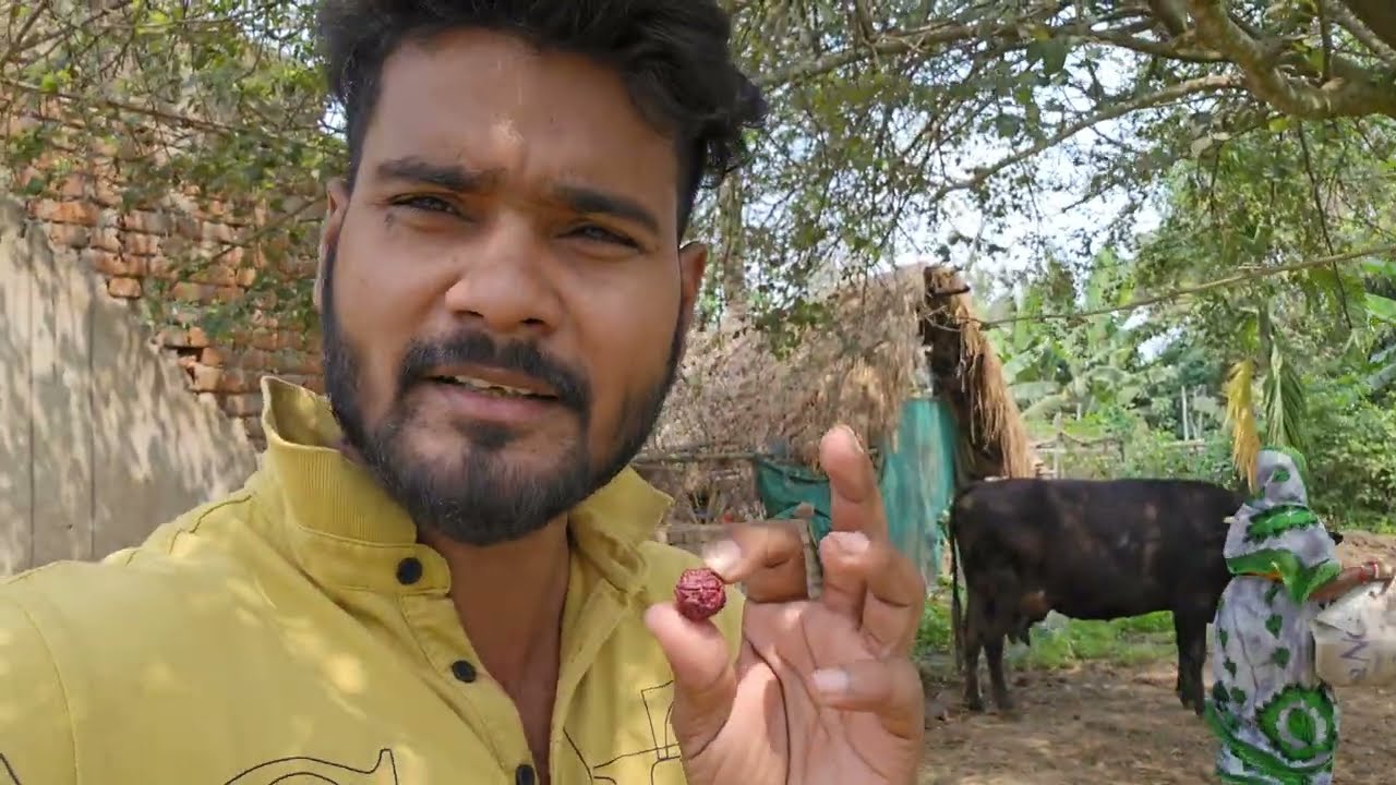 ବାହାଘର ଭାଙ୍ଗିଗଲା  କଣ ପାଇଁ 😡#447