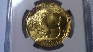 Ngc Ms70 Gold American Buffalo Bullionearly Releases