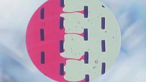 Static Mixer Promix Solutions Working principle