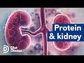 Protein and kidney health