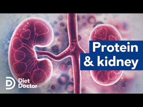 Protein and kidney health